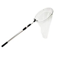 Trasfit Butterfly Net Kit 12 Ring Scaleable Net Handle Extends to 59 Inches for Adults /& Kids Pop-up 16 x 24 Inches Habitat Cage